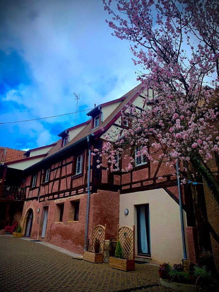 Le Clocher " Sous Les Combles" Parking Gratuit Beblenheim Exterior foto