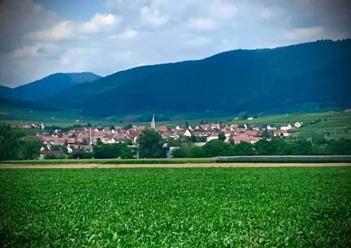 Le Clocher " Sous Les Combles" Parking Gratuit Beblenheim Exterior foto